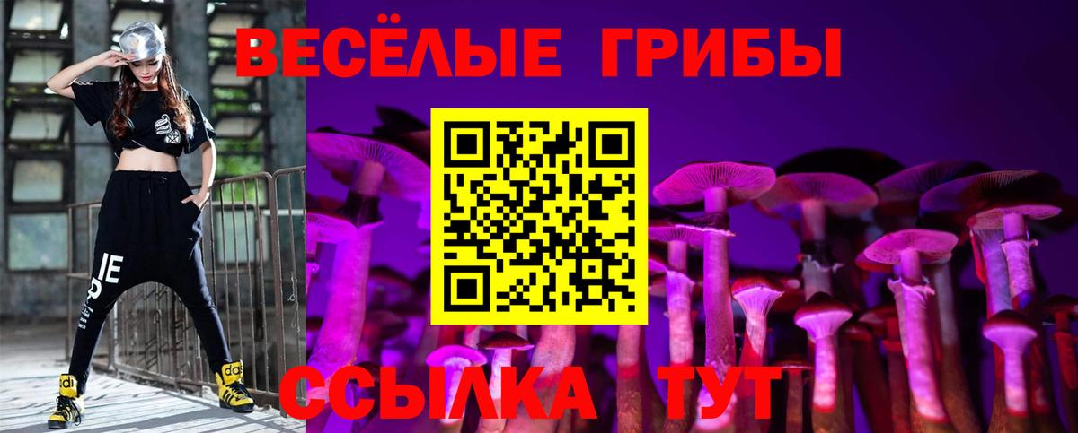 Невинномысск  Псилоцибиновые грибы Cubensis  Псилоцибиновые грибы ЛСД  Вход с VPN 